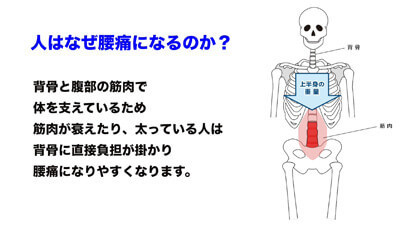 腰痛予防　イメージ2